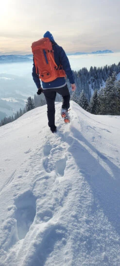 Ortovox Peak 35 - Tourenrucksack -Osprey Verkäufe ortovox peak 35 tourenrucksack 479eeaaef0ad34f8d4b20e458b7c94a1 1