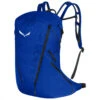 SALEWA Pedroc Pro 22 - Wanderrucksack